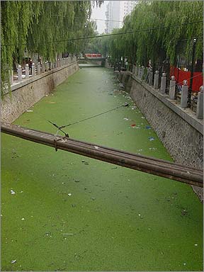china-water-treatment-utilities-3.jpg